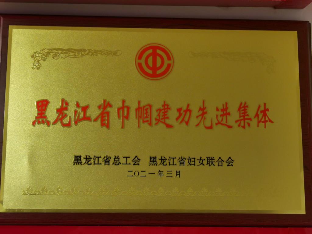 2021年伊春农商银行 荣获黑龙江省巾帼建功先进集体