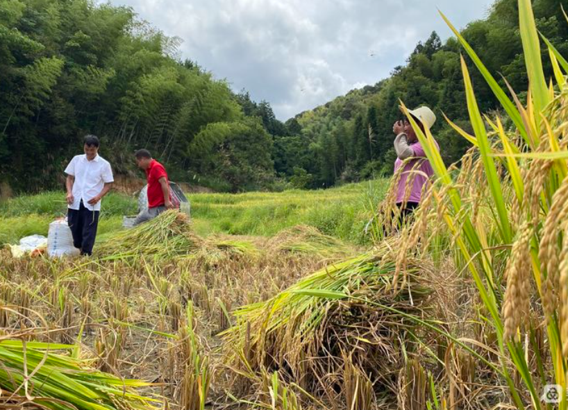 农户互保贷款产品